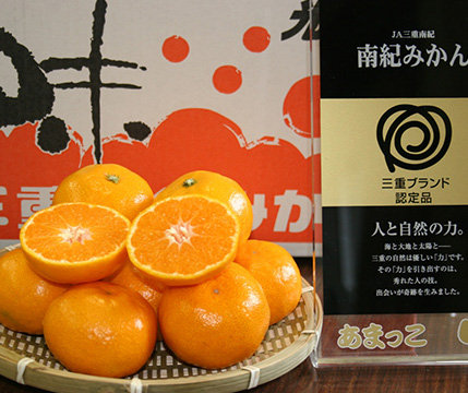 うんまいよ!!紀州みかんについて