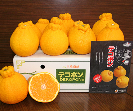 うんまいよ!!紀州みかんについて